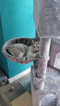 Pili Bild von Pili