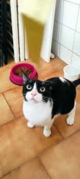 Kasper Bild von Kasper