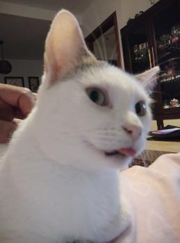 Lola Bild von Lola