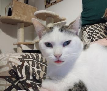 Lola Bild von Lola