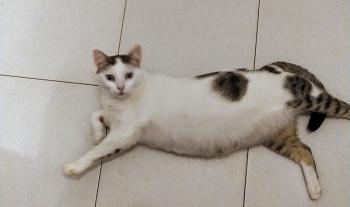 Lola Bild von Lola