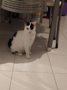 Lily Bild von Lily