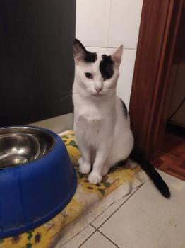 Lily Bild von Lily