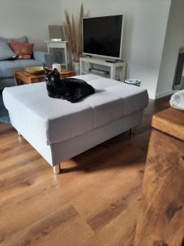 Suhaila Bild von Suhaila