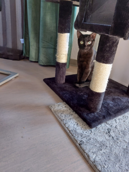 Morty Bild von Morty
