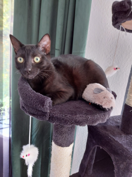 Morty Bild von Morty