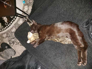 Morty Bild von Morty
