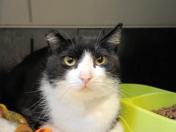 Tommy Bild von Tommy