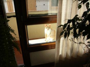 Fillipo Bild von Filippo