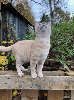 Pin Bild von Pin