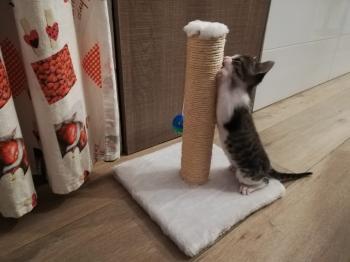 Cleo Bild von Cleo
