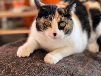 Mina Bild von Mina