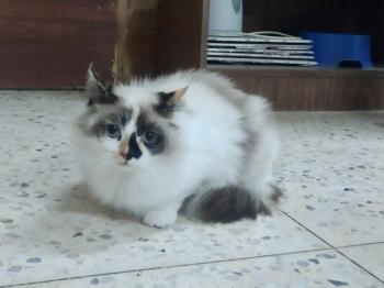 Lidia Bild von Lidia