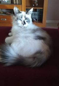 Lidia Bild von Lidia