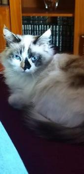 Lidia Bild von Lidia
