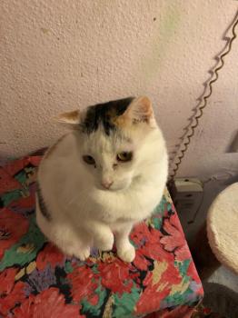 Manchitas Bild von Manchitas