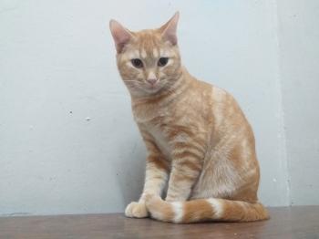 Stewie Bild von Stewie