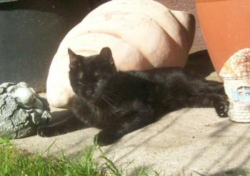 Paco Bild von Paco