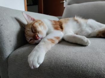 Ares Bild von Ares