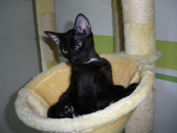 Taz Bild von Taz
