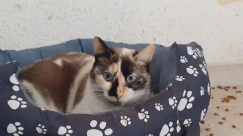 Lizzy Bild von Lizzy