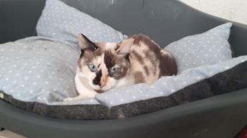 Lizzy Bild von Lizzy