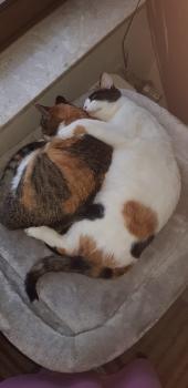 Nancy Bild von Nancy