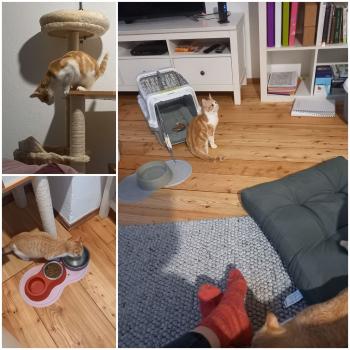 Nikita Bild von Nikita