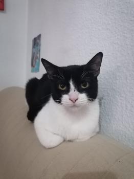 Kasper Bild von Kasper