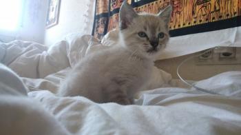 Morty Bild von Morty
