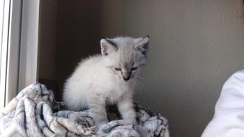Morty Bild von Morty