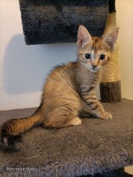 Sam Bild von Sam
