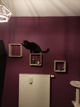 Salem Bild von Salem