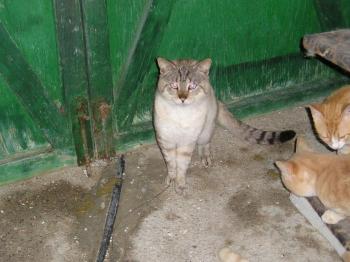 Clarence Bild von Clarence