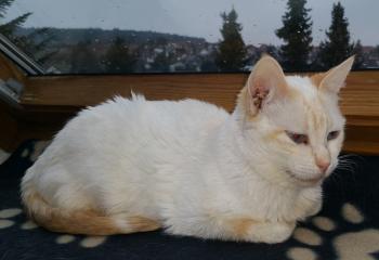 Na Bild von Na