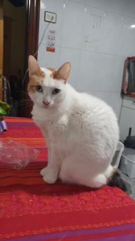 Leela Bild von Leela