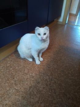 Blanki Bild von Blanki