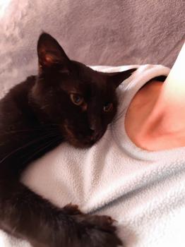 Babush Bild von Babush