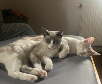 Keira Bild von Keira