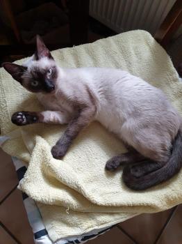 Muneca Bild von Muneca