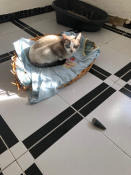 Nap Bild von Nap