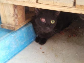 Coco Bild von Coca