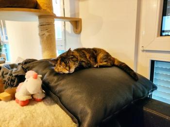 Fame Bild von Fame