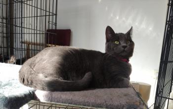 Dottie Bild von Dottie