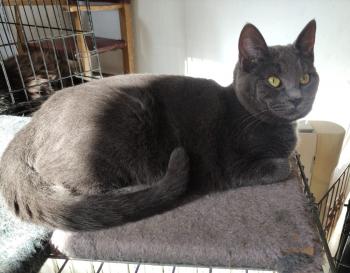 Dottie Bild von Dottie