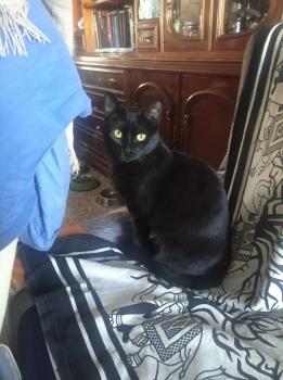 Moki Bild von Moki