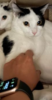 Wilma Bild von Wilma
