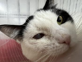 Wilma Bild von Wilma