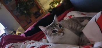 Clara Bild von Clara
