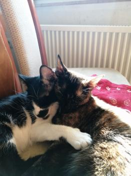 Nena Bild von Nena